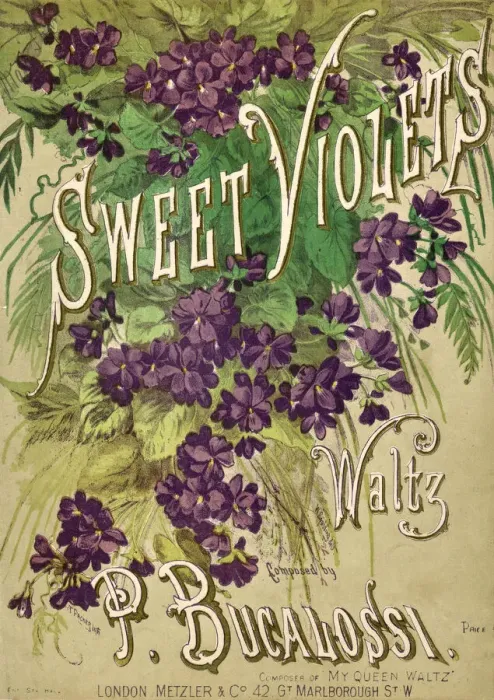 Framed Print : Music cover, Sweet Violets Waltz, by P Bucalossi Framed Print : Music cover, Sweet Violets Waltz, by P Bucalossi