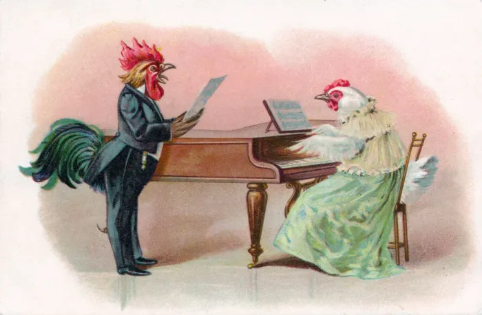 Framed Print : Musical cock and hen with piano on a greetings postcard Framed Print : Musical cock and hen with piano on a greetings postcard