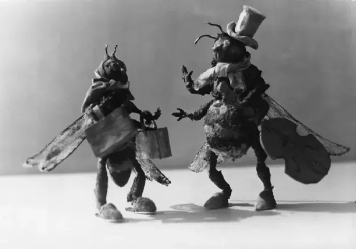 Framed Print : Musical Dung Fly Framed Print : Musical Dung Fly