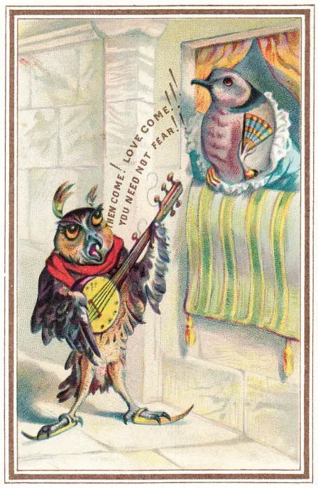 Framed Print : Musical owl with banjo serenading on a romantic card Framed Print : Musical owl with banjo serenading on a romantic card