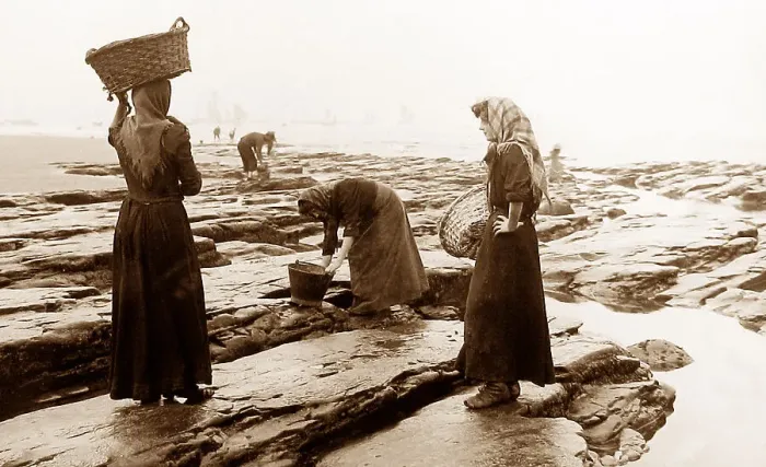 Framed Print : Mussel Gatherers Victorian period Framed Print : Mussel Gatherers Victorian period