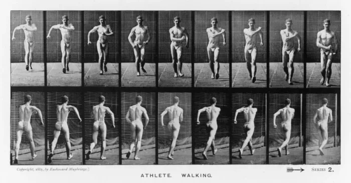 Framed Print : Muybridge - Athlete Walk Framed Print : Muybridge - Athlete Walk