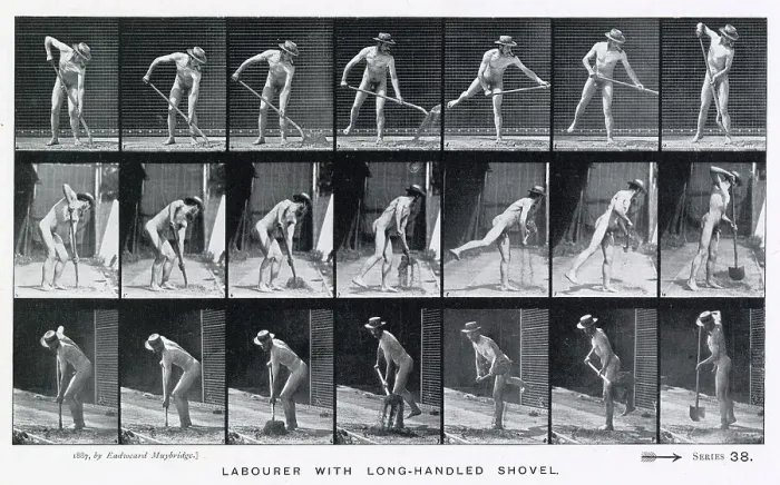 Framed Print : Muybridge - Shovel Framed Print : Muybridge - Shovel