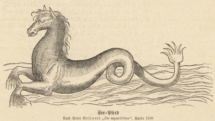 Framed Print : Mythical Sea Horse Framed Print : Mythical Sea Horse
