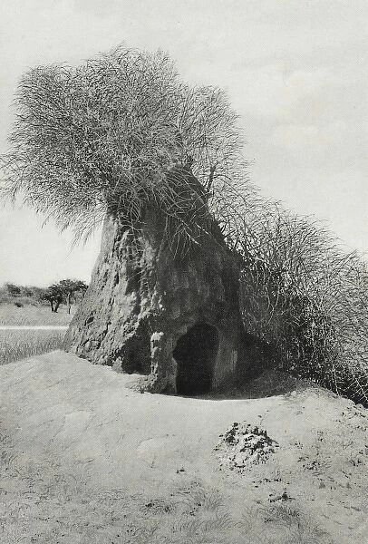 Namibia - A Termite Mount