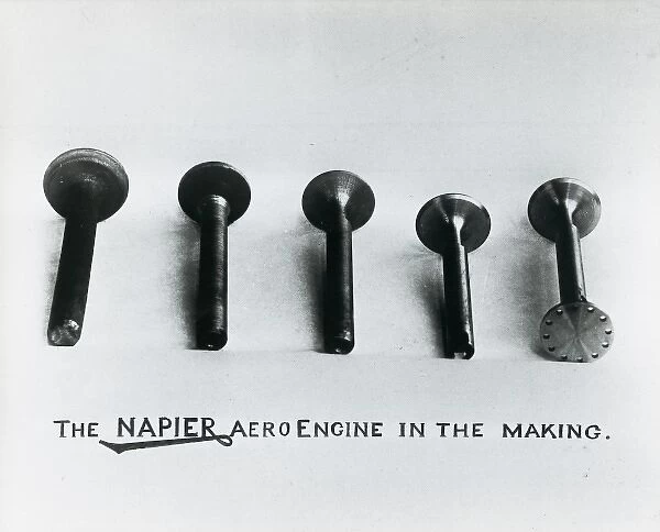 The Napier aero engine in the making