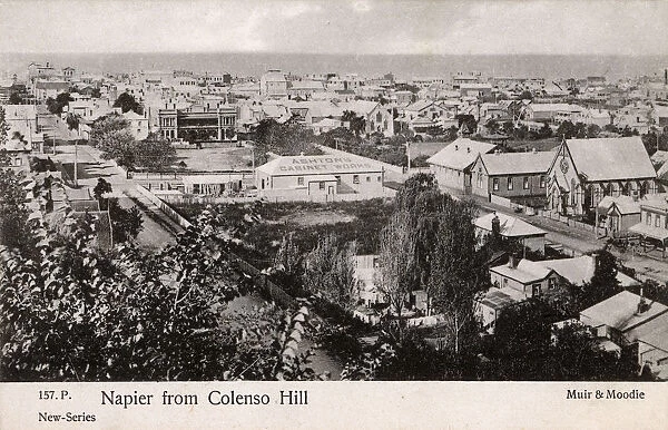 Napier from Colenso Hill - New Zealand