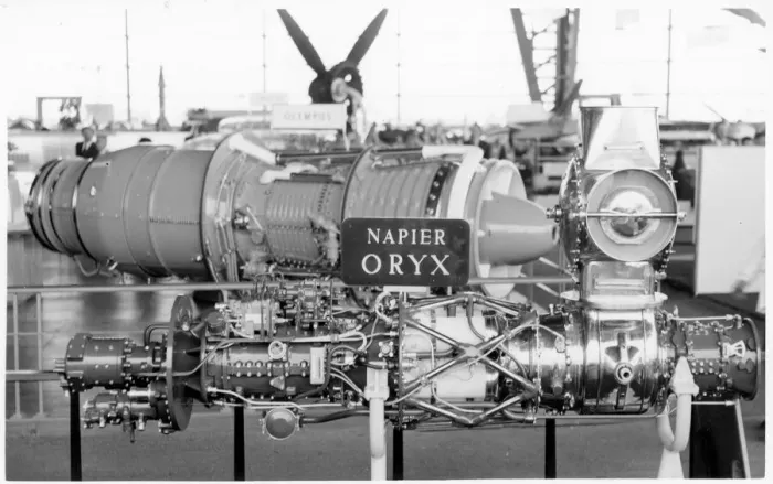 Framed Print : Napier Oryx Framed Print : Napier Oryx