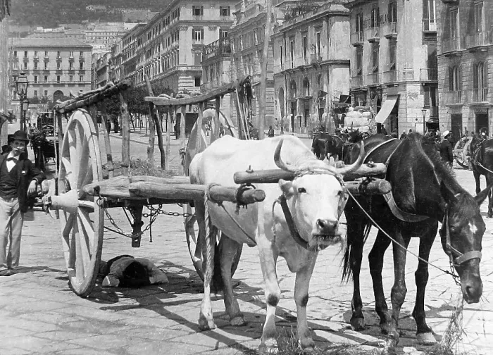 Framed Print : Naples Italy early 1900s Framed Print : Naples Italy early 1900s