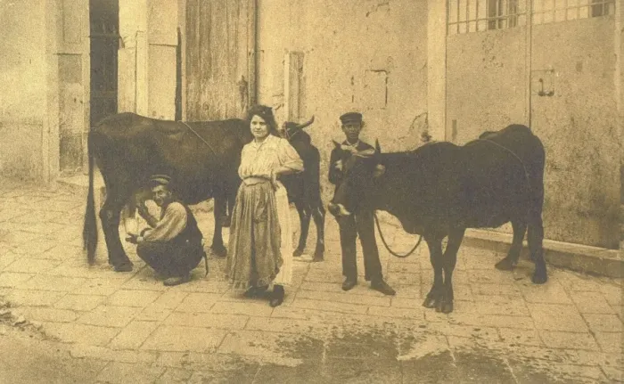 Framed Print : Naples, Italy - Milk Seller Framed Print : Naples, Italy - Milk Seller