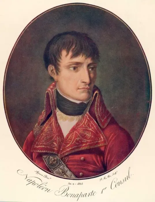 Framed Print : Napoleon (Appiani)
