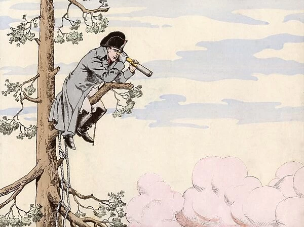 Napoleon up a Tree
