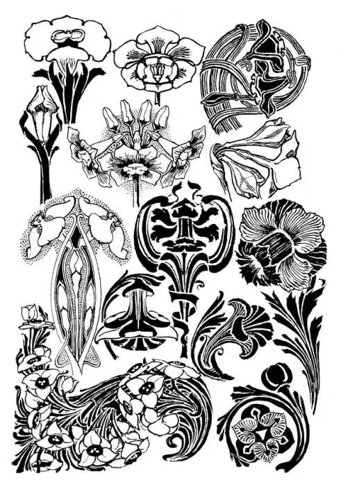 Framed Print : Narcissi. Studies in plant form with suggestions for their application to design Framed Print : Narcissi. Studies in plant form with suggestions for their application to design