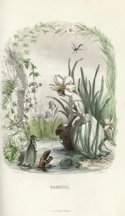 Framed Print : Narcissus flower fairy staring at his reflection Framed Print : Narcissus flower fairy staring at his reflection