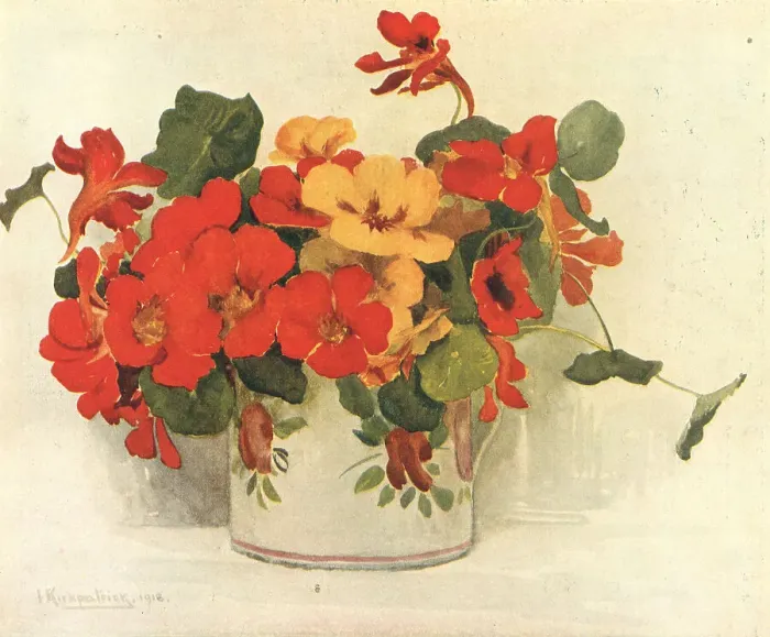 Framed Print : Nasturiums Framed Print : Nasturiums