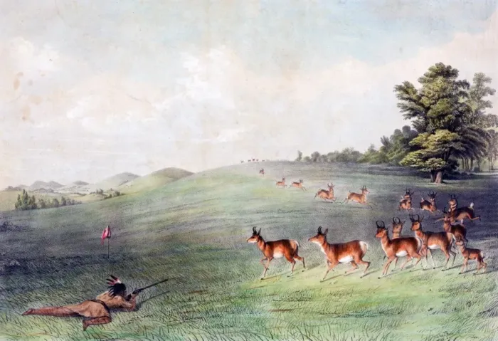 Framed Print : Native American Indian Antelope Shooting Framed Print : Native American Indian Antelope Shooting