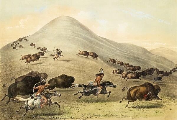 Native American Indian Buffalo Hunt