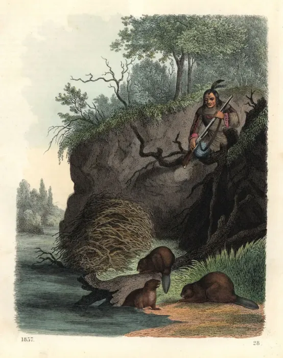 Framed Print : Native American man watching beavers, Castor Framed Print : Native American man watching beavers, Castor