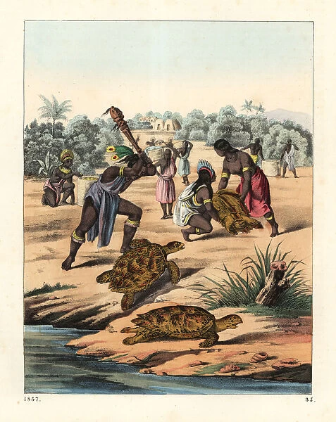 Native Americans hunting the loggerhead sea