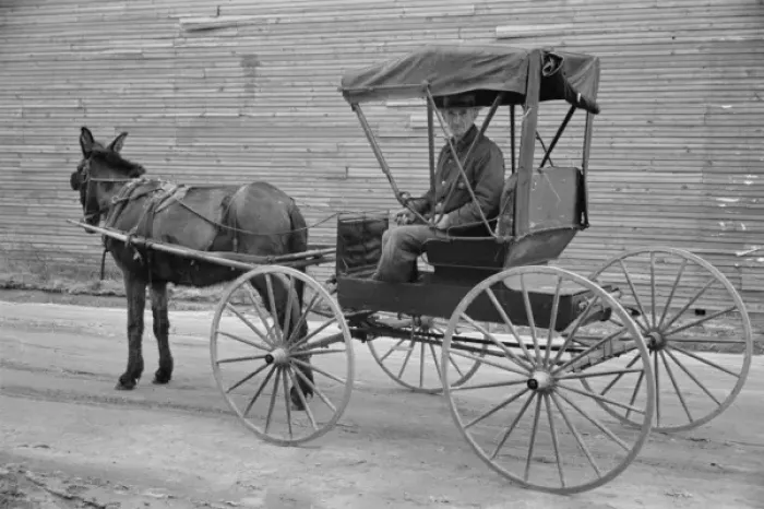Framed Print : Native and buggy, Hoffman, North Carolina Framed Print : Native and buggy, Hoffman, North Carolina
