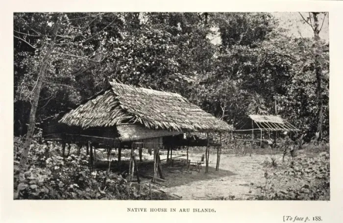 Framed Print : Native house in Aru Framed Print : Native house in Aru