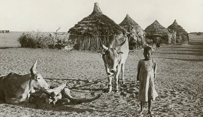 Framed Print : Native Life in Duem or Ed Dueim on the White Nile, Sudan Framed Print : Native Life in Duem or Ed Dueim on the White Nile, Sudan