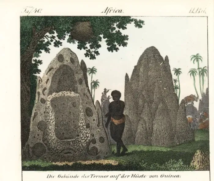 Framed Print : Native standing next to termite hills on Framed Print : Native standing next to termite hills on