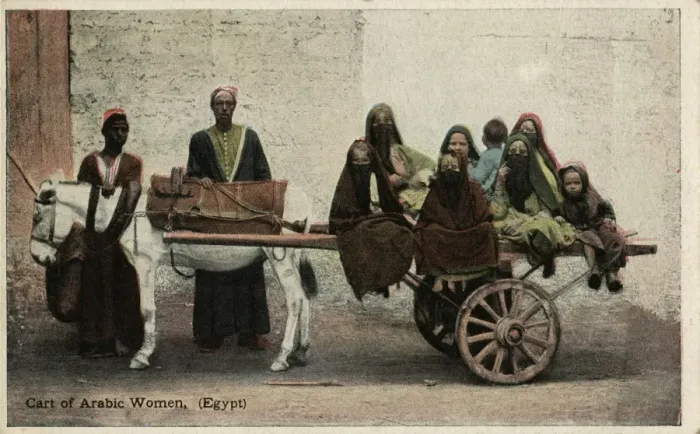 Framed Print : Native transport in Egypt Framed Print : Native transport in Egypt