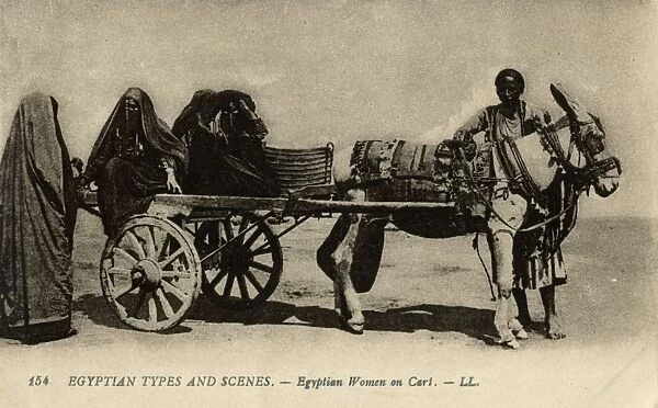 Native transport in Egypt
