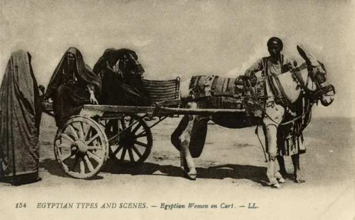 Framed Print : Native transport in Egypt Framed Print : Native transport in Egypt