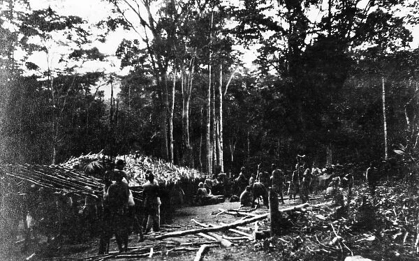 Native troops building shelters, Cameroon, Africa, WW1