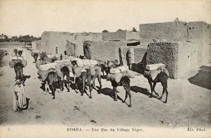 Framed Print : Native village with camels, Biskra, Algeria Framed Print : Native village with camels, Biskra, Algeria