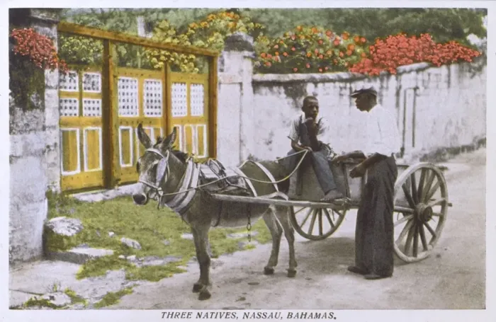 Framed Print : Three Natives of Nassau - Bahamas Framed Print : Three Natives of Nassau - Bahamas