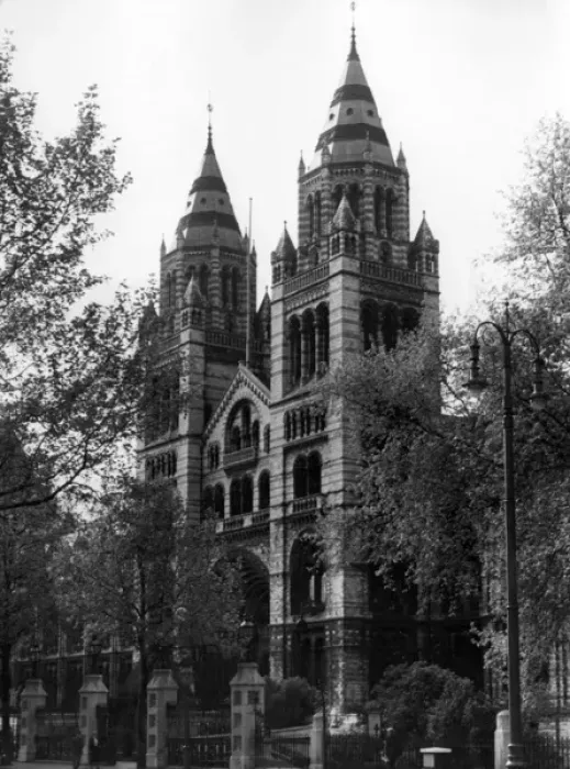 Framed Print : Natural History Museum Framed Print : Natural History Museum
