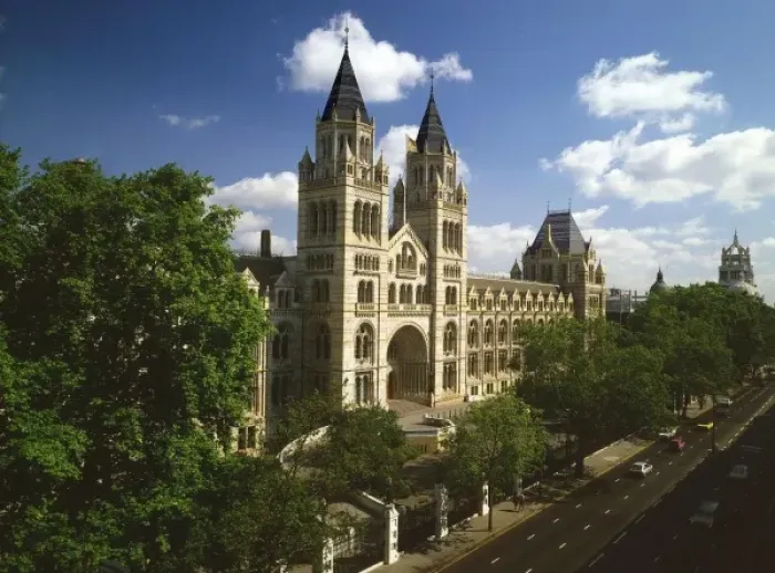 Framed Print : The Natural History Museum Framed Print : The Natural History Museum