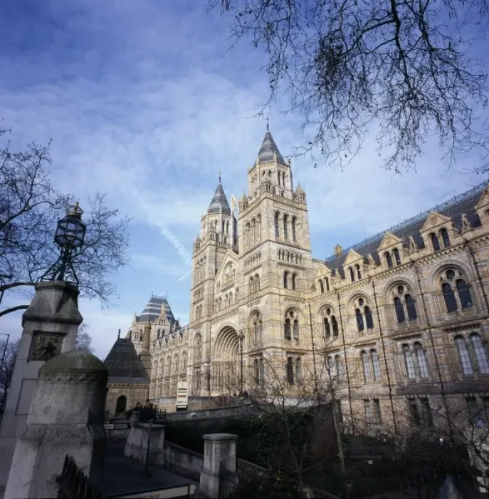 Framed Print : The Natural History Museum Framed Print : The Natural History Museum