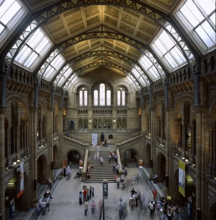 Framed Print : The Natural History Museum Framed Print : The Natural History Museum