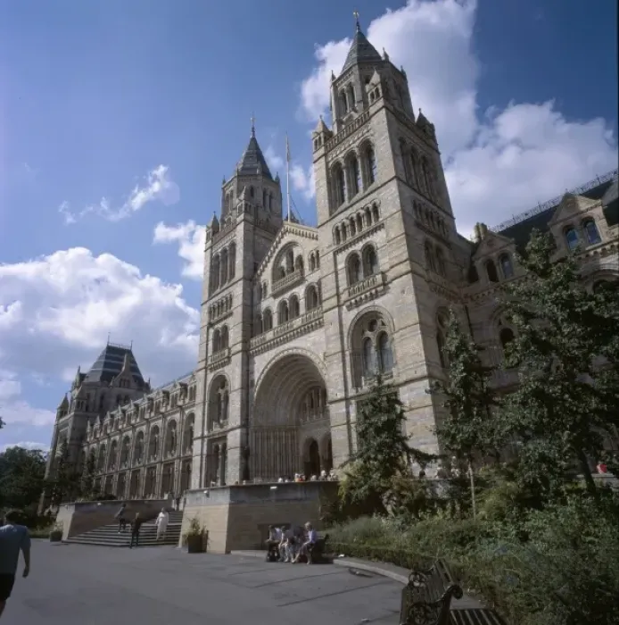 Framed Print : The Natural History Museum Framed Print : The Natural History Museum