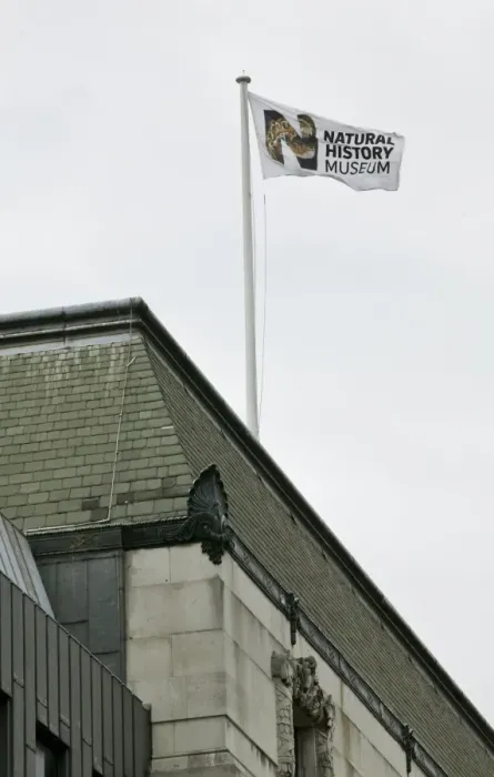 Framed Print : Natural History Museum flag Framed Print : Natural History Museum flag