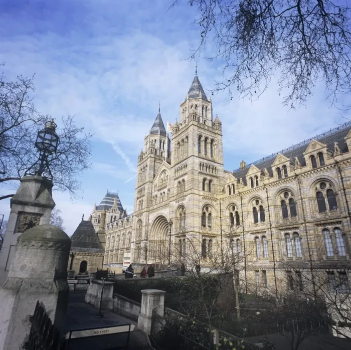 Framed Print : Natural History Museum, London Framed Print : Natural History Museum, London