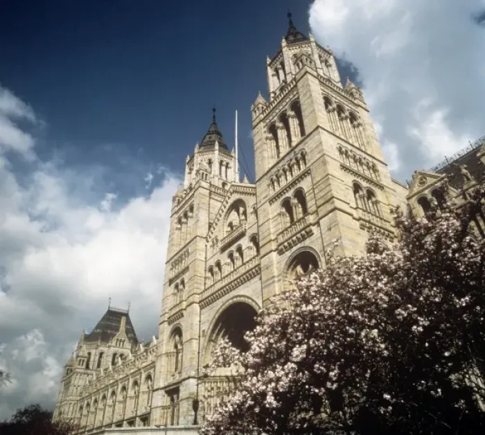 Framed Print : The Natural History Museum, London Framed Print : The Natural History Museum, London