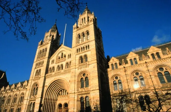 Framed Print : The Natural History Museum, London Framed Print : The Natural History Museum, London