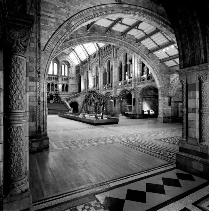 Framed Print : The Natural History Museum, London Framed Print : The Natural History Museum, London