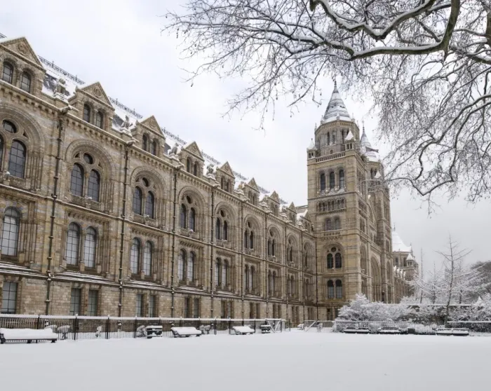 Framed Print : The Natural History Museum, London Framed Print : The Natural History Museum, London