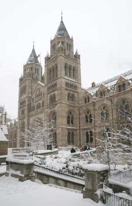 Framed Print : The Natural History Museum, London Framed Print : The Natural History Museum, London