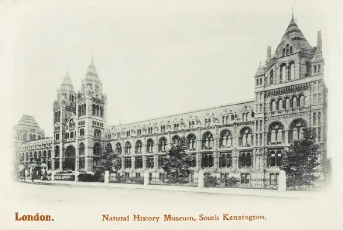 Framed Print : Natural History Museum, South Kensington, London Framed Print : Natural History Museum, South Kensington, London