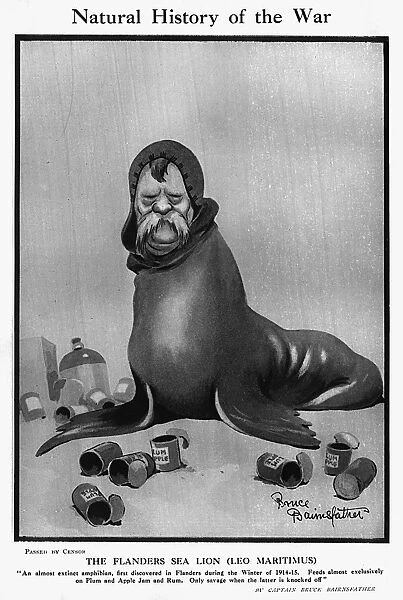 Natural History of the War by Bruce Bairnsfather