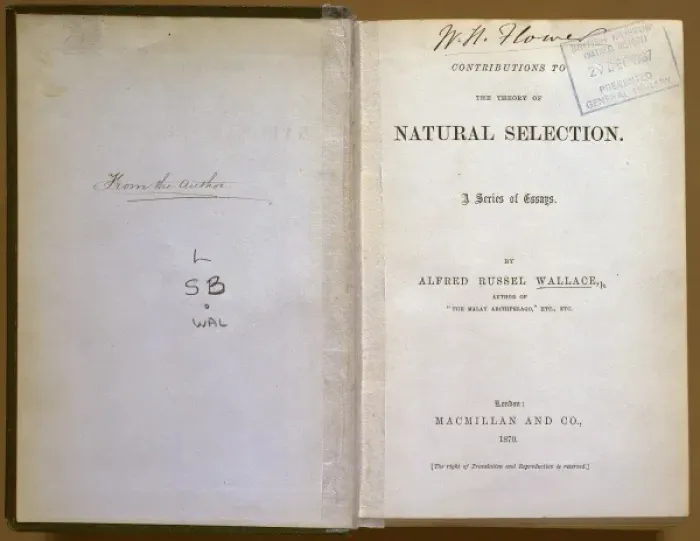 Framed Print : Natural Selection Framed Print : Natural Selection