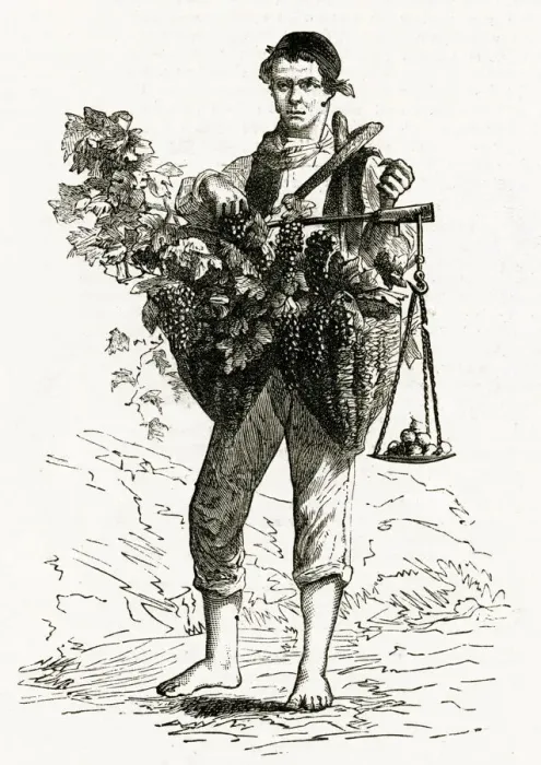Framed Print : Neapolitan grape seller 1886 Framed Print : Neapolitan grape seller 1886