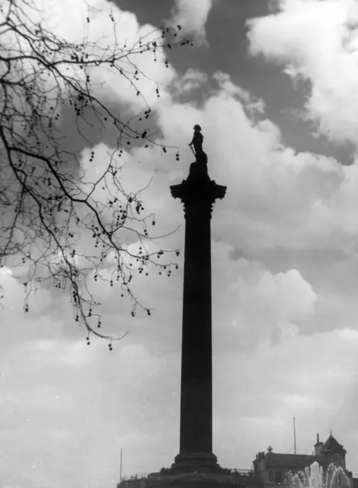 Framed Print : Nelsons Column Framed Print : Nelsons Column